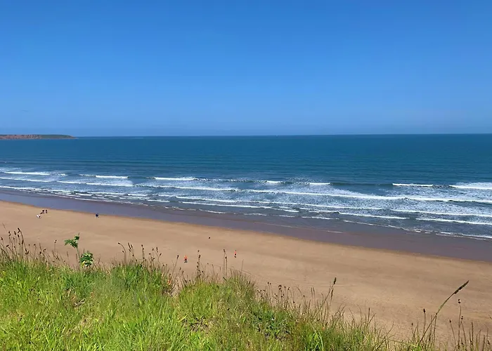 Sea Esta At The Bay, Sleeps 4-5, And 2 Dogs For Free Too